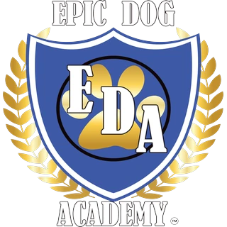 Epic Dog Academy